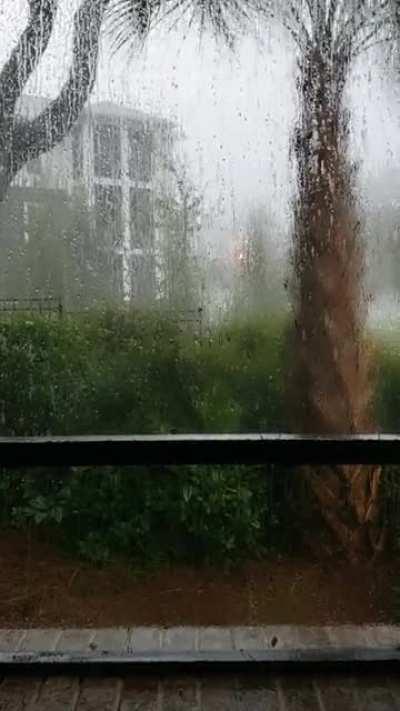 Watching today's heavy rainstorm from my patio (coastal SC)