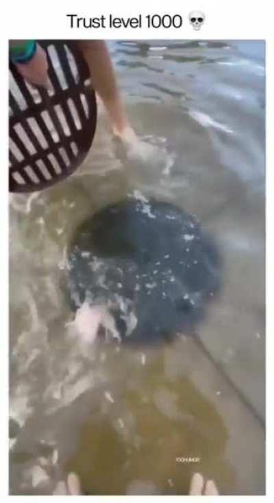 Forgot to flush the toilet