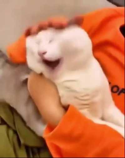 My dad: I hate pets 😡 Also him: