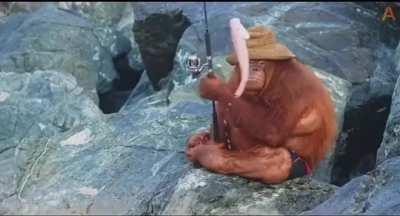 Day 1 of Monke fishing