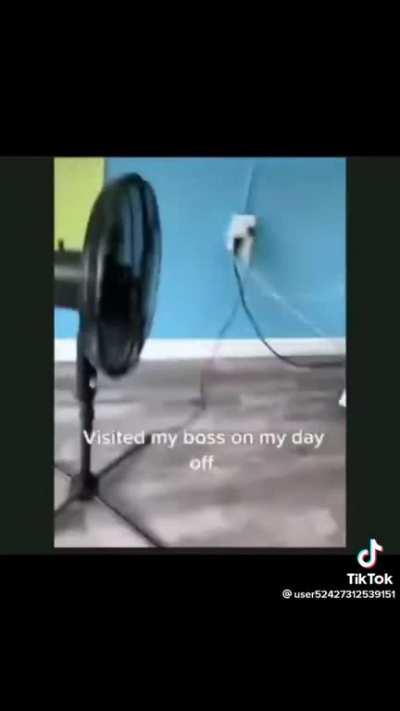 Farts are always funny