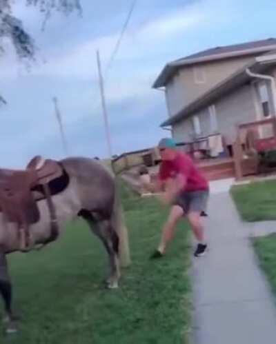 DBS mounting a horse like this