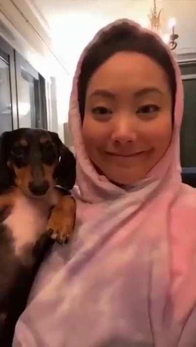 Dogs reacting to getting kisses