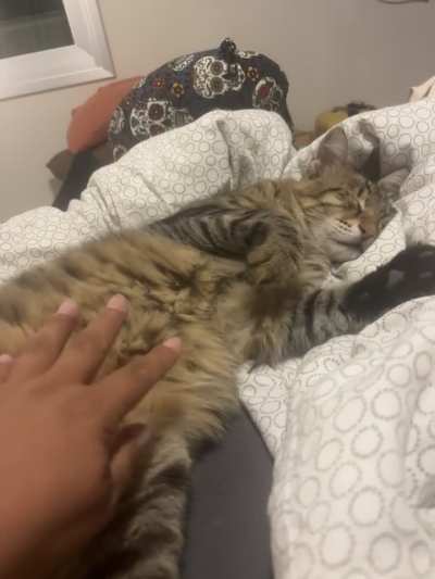 I couldn’t resist touching the forbidden floof