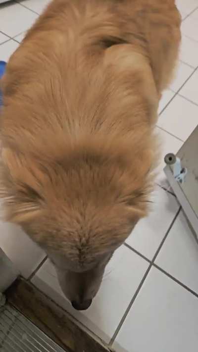 What does this mean?