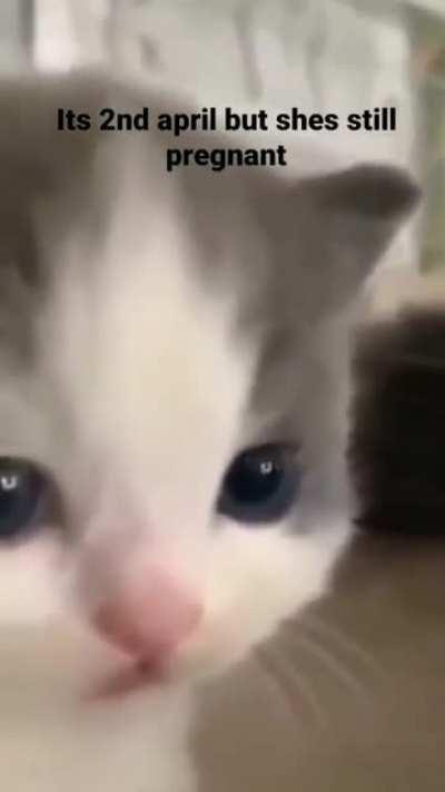 Something's Wrong here