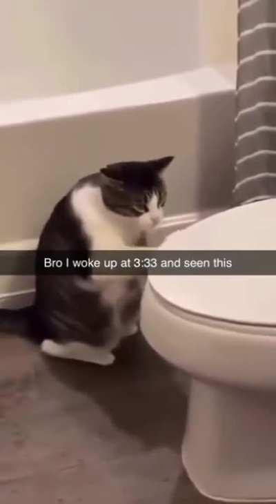 Drum hard and be bowld. 😹