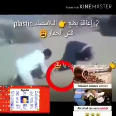 Funny A̖̖͛͘ľ̓̚ḽ̷̾͒a̵̯h̴͇̫̃ content