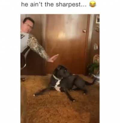 Who... Where... How?