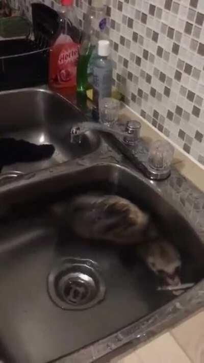 Bath time is done when I say it is done