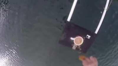 Not British but the most British thing ever right here