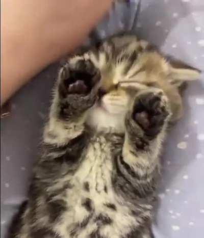 Do not interfere with me to sleep. Today I am a day off