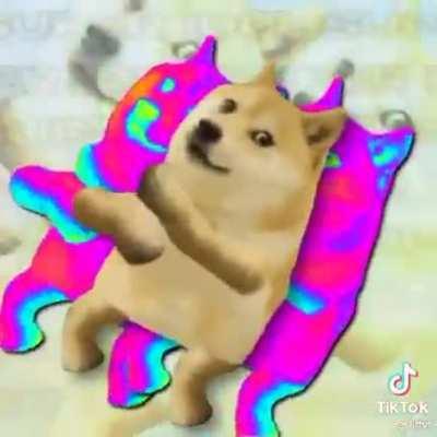Doge Super Idol