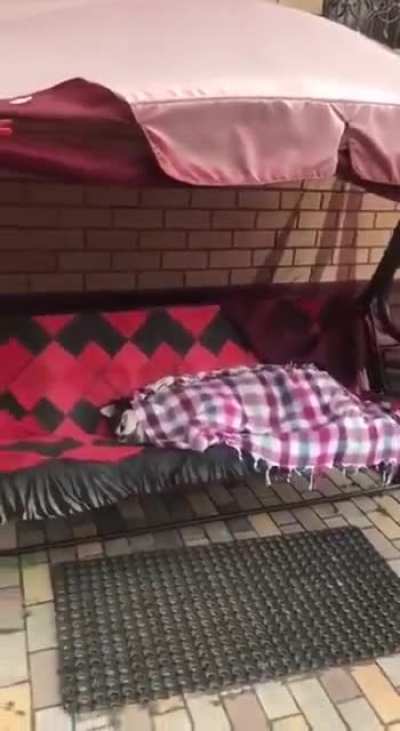 Пусть весь мир подождет