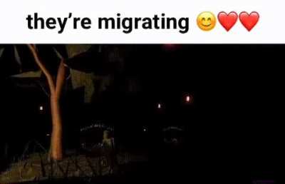 Can someone send me a cute image of Sebastian I just beat RaveYard ^(I need help lol)