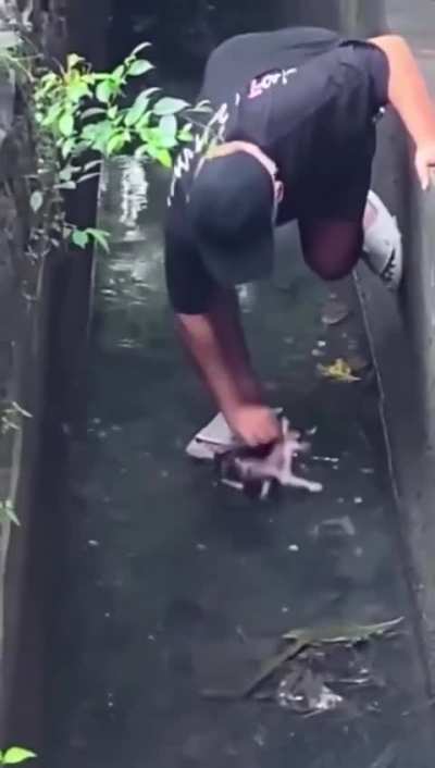 He was just trying to help 😔