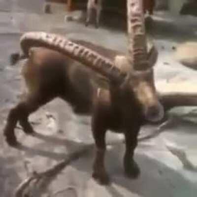 when if I don't have hands free