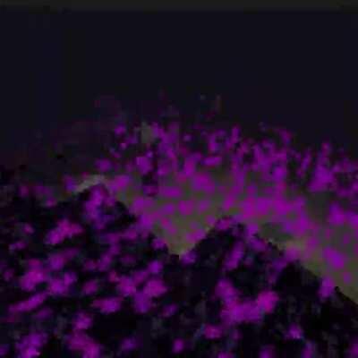 A Day in the Life of Steve...