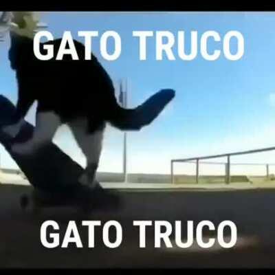 Gato truco