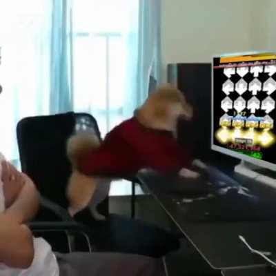 Fart in the blue skye 💩