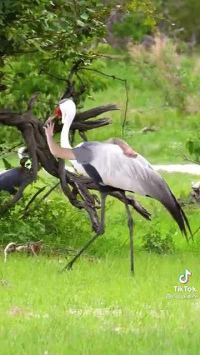 Wholesome yet cursed. A terribly good combination.