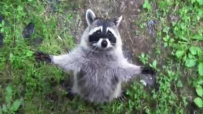 i'm open here...send snax!