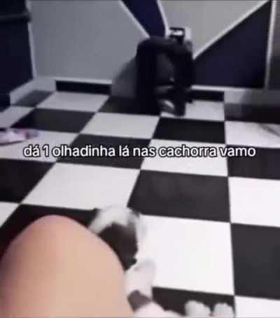 Eu vo sim