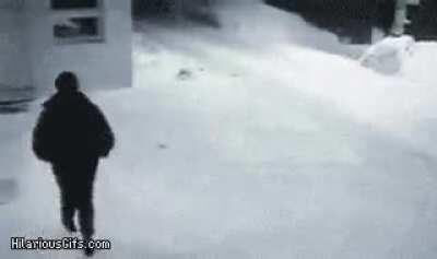 Which way did they go???