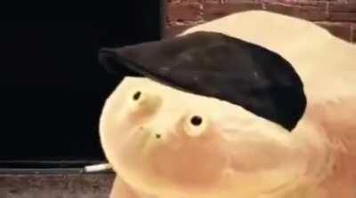 It is Wednesday my dudes