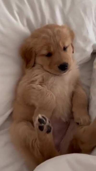 Time for cuddles and sleeps