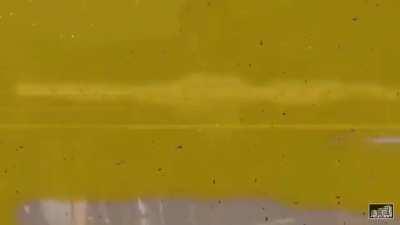 The Romans 3 days after they crucified Jesus: