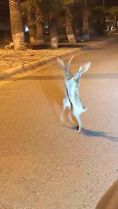 Public Fight Caught On Camera