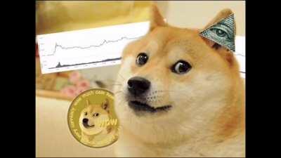 Doge = illuminati 😱😢🤭😡