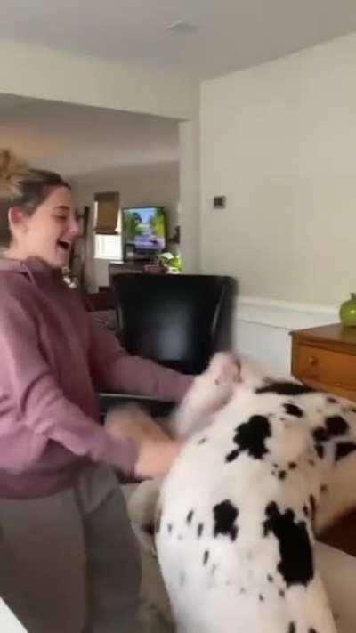 iloveyouiloveyouiloveyou ohwaitmasteris homeatlastjoy iloveyouiloveyouiloveyou