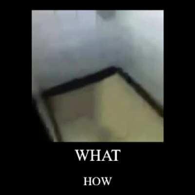 ACÁ NO ESTÁ EL INODORO