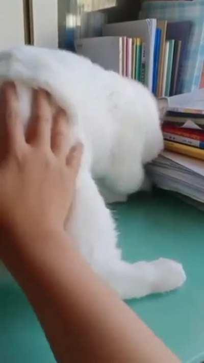 Please don't touch my butt