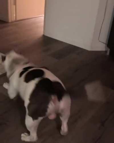 His happy dance when his mom loves him so much that she put a ring on it