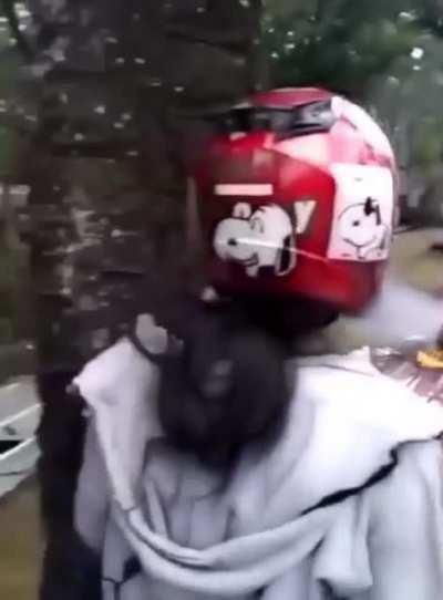 The rabbit hole we go