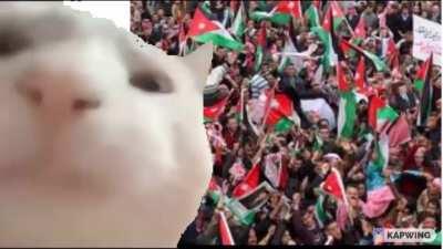 me listening to this song after watching any foreign opposition videos