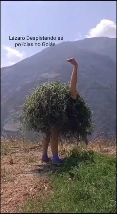 Lázaro despistando as polícias de Goiás.