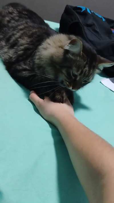 I think he's broken..