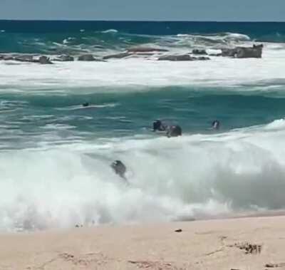 Kid grew 10 years in the wave