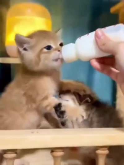 When sharing milk is NOT an option