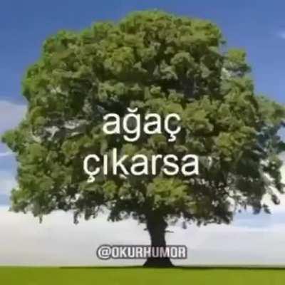 Başlık bile bulamadim amk