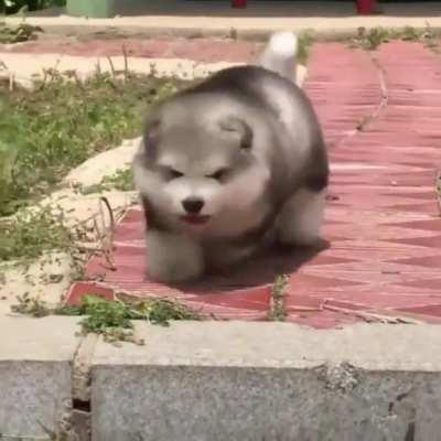 I runs & runs.... oh shitttttt