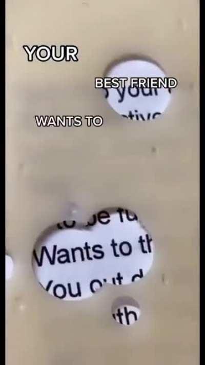 The chesse never lies