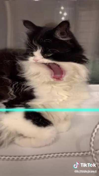 Коты- источник вдохновения.