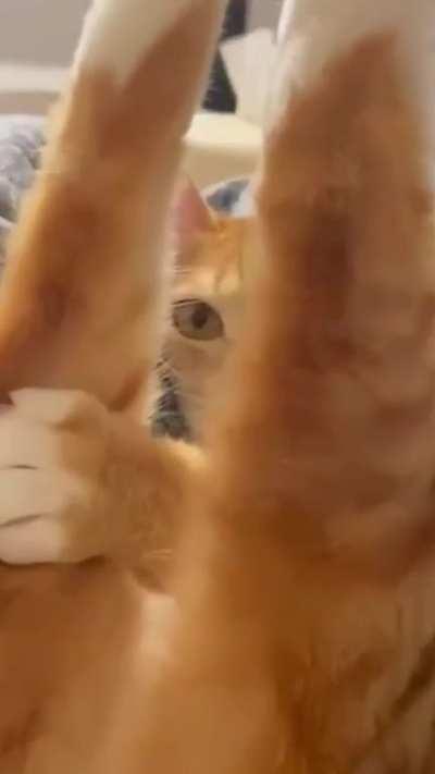 Which yoga pose is he doing? Wrong answers only