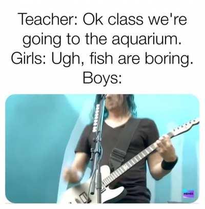 I can't wait to see the whales!