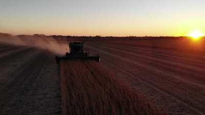 Real life or fs19 ? Let me know what you think💪